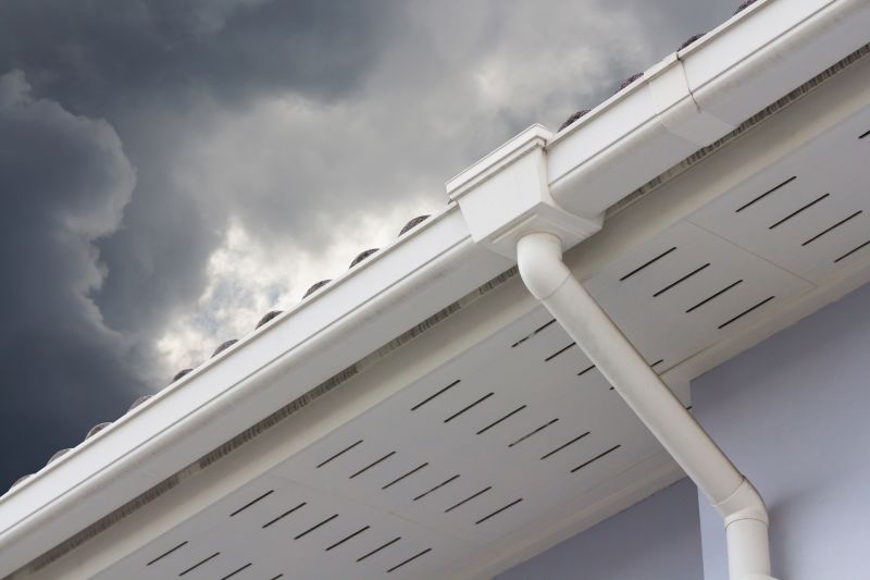 Gutter and Roof System Check